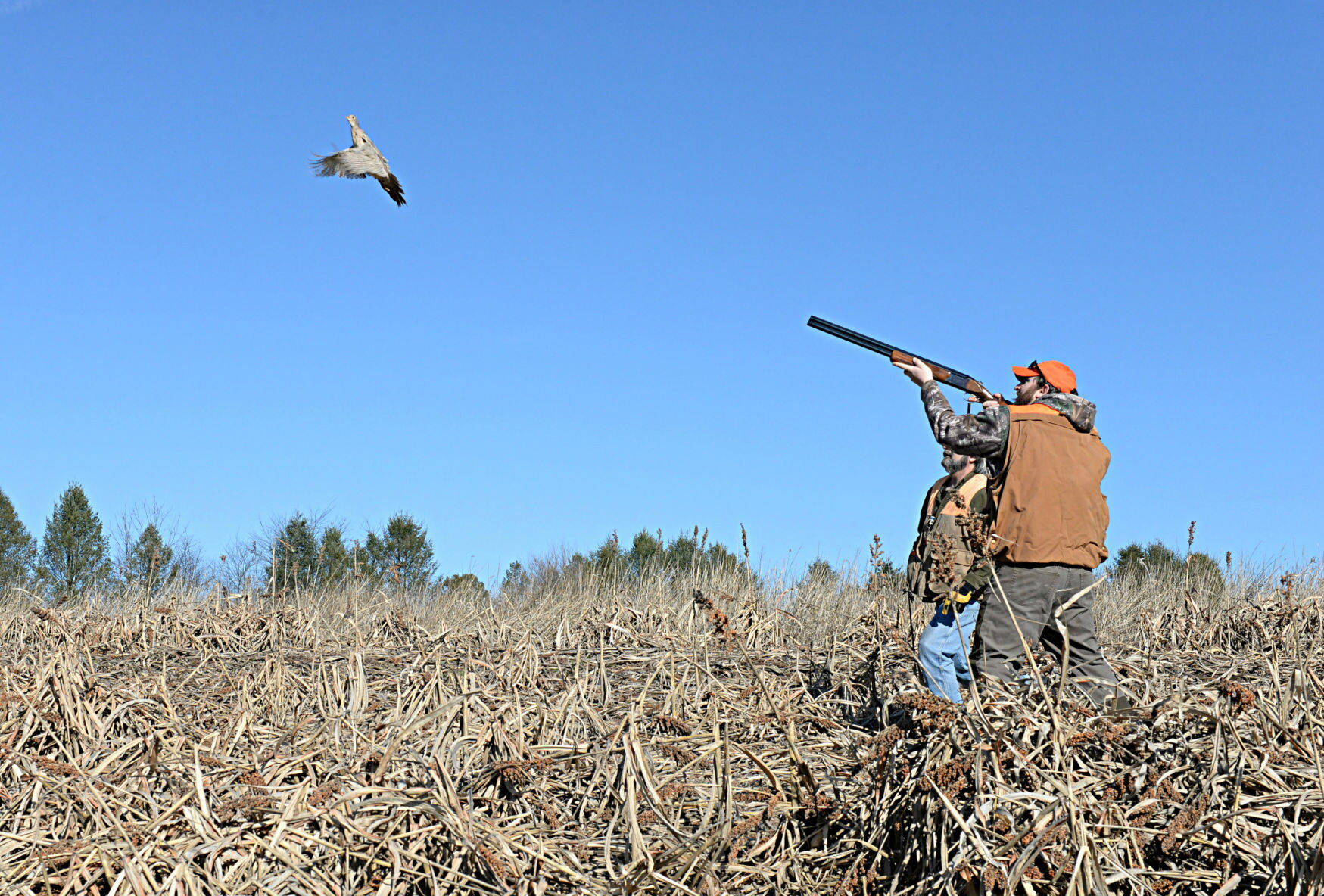 Pheasant hunting file